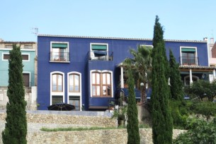 blue house back view