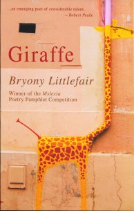 giraffe-cover.jpeg