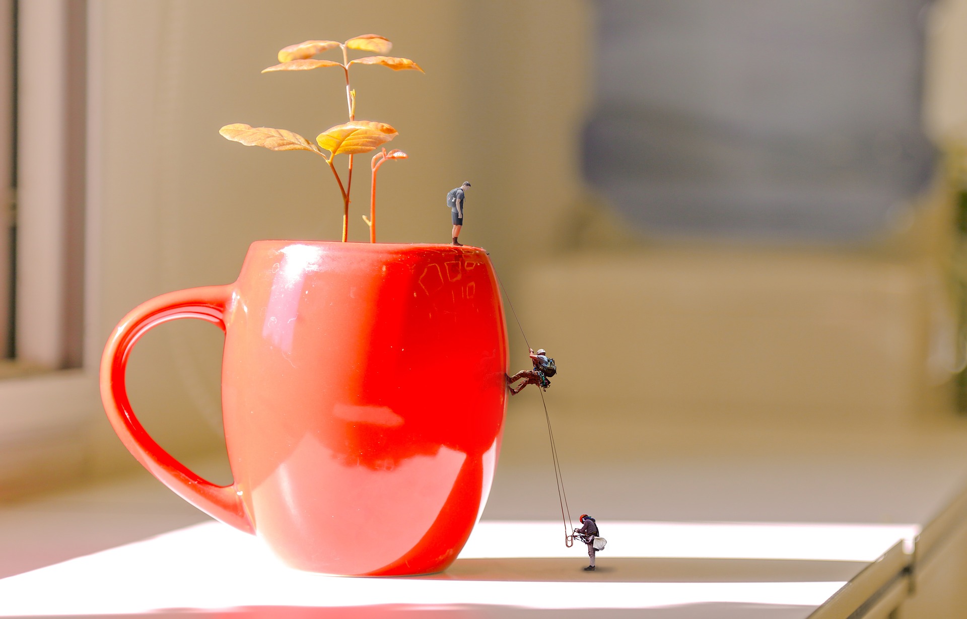 flowerpot-climb-1873479_1920